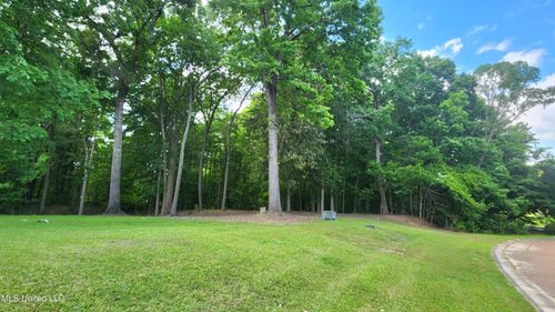 00 Bluff Hills Pl, Natchez, MS, 39120 | Card Image