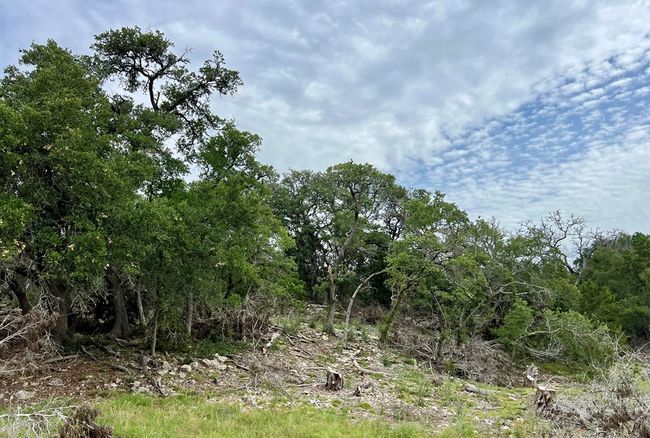41 - TBD Blanco Ave, Home with 0 bedrooms, 0 bathrooms and null parking in Blanco TX | Image 4