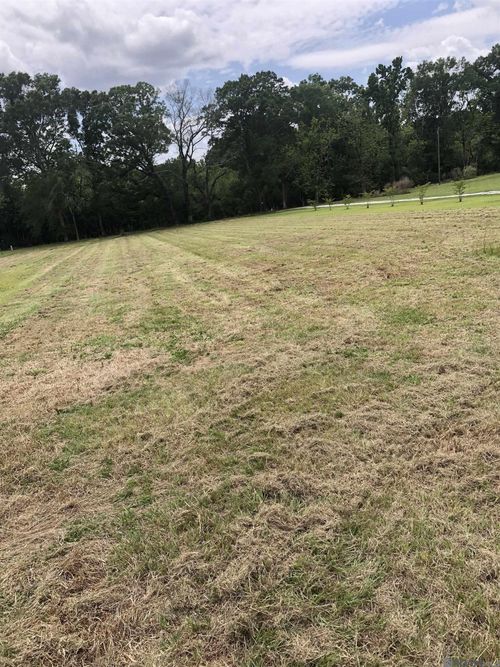 8736 Patterson Cemetery Ln, Slaughter, LA, 70777-3900 | Card Image