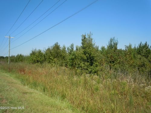Tbd Andrew Jackson Hwy Sw, Fair Bluff, NC, 28439-0100 | Card Image