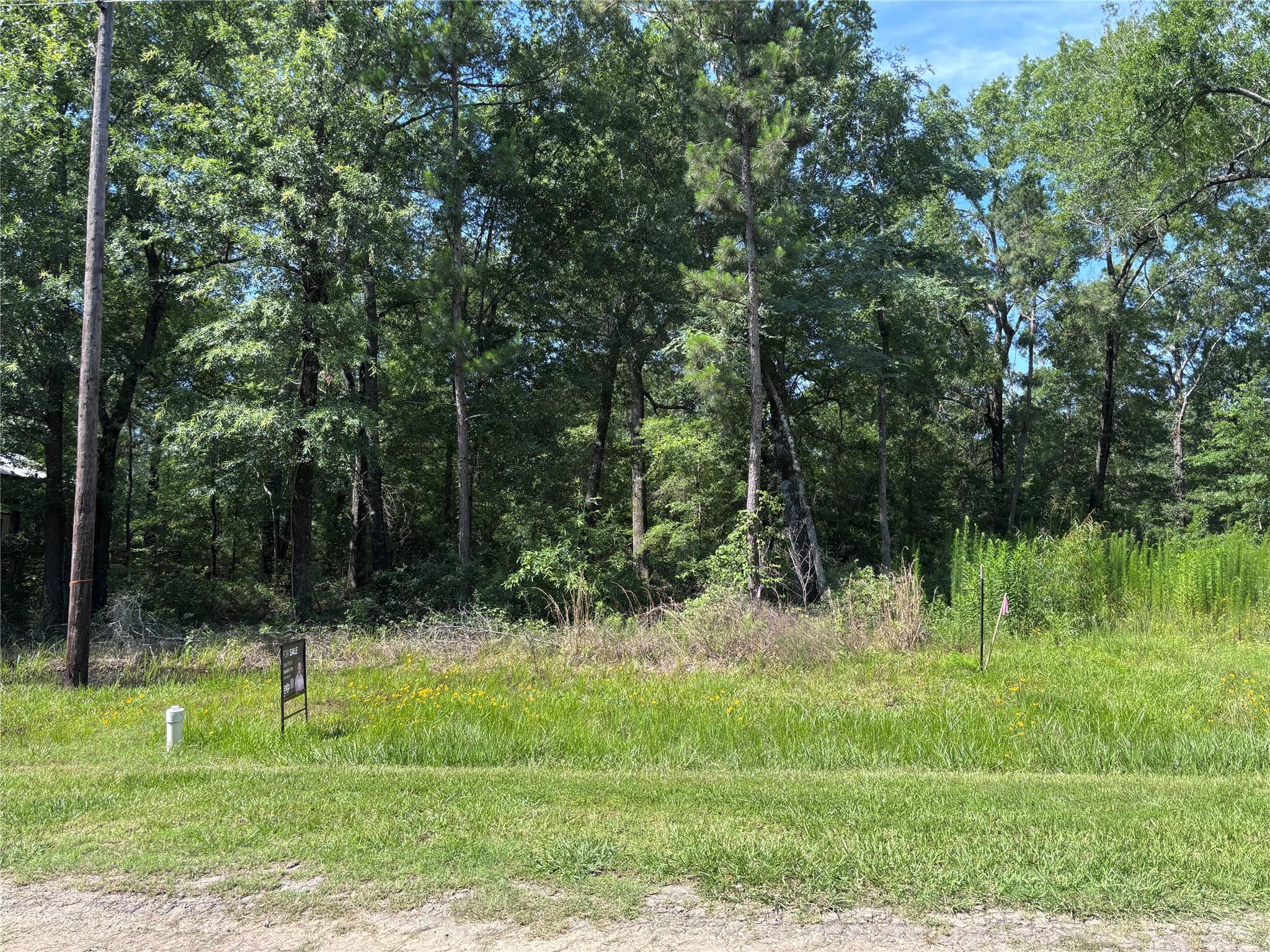 Land in Livingston 3