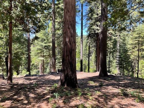 1619 Shoshone Dr, Arnold, CA, 95223 | Card Image