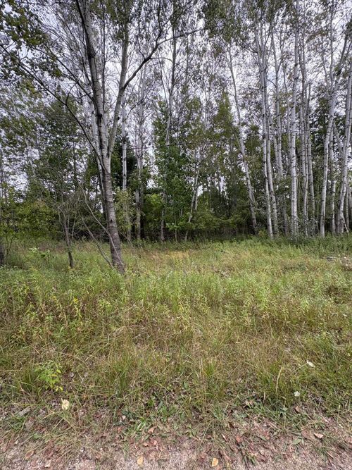 455456 Miramichi Dr, Evart, MI, 49631-9716 | Card Image