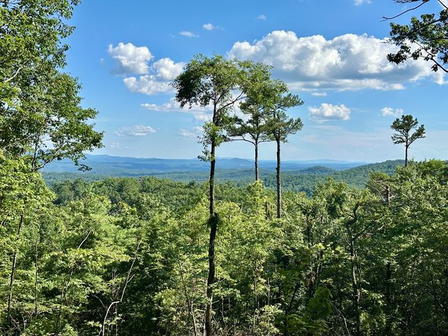 Lot 73 Mountain View Rd, Home with 0 bedrooms, 0 bathrooms and null parking in Ellijay GA | Image 16