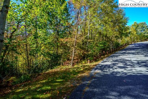 Lot 39 TBD Pine Cove Road, Elk Park, NC, 28622 | Card Image
