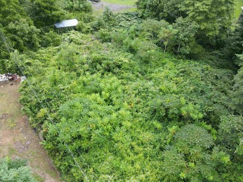 TBD Highwood Ln, Charmco, WV, 25958 | Card Image