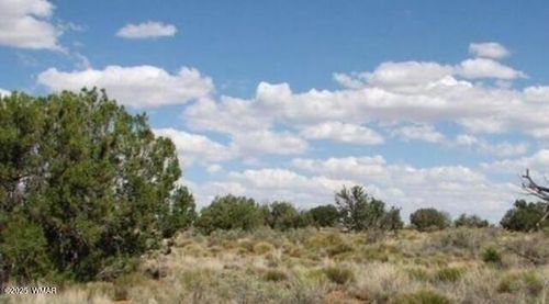 TBD Chevelon Canyon Ranch Lot 363, Heber, AZ, 85928 | Card Image