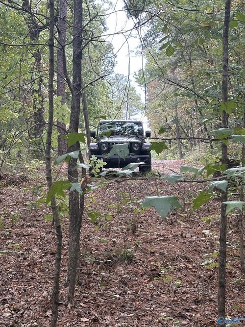 410 - A Aderholt St, Glencoe, AL, 35905-1335 | Card Image