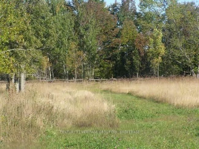 0 Buttermilk Falls Rd, Home with 0 bedrooms, 0 bathrooms and 12 parking in Roblin ON | Image 7