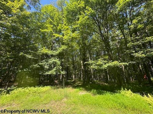 TBD N Branch Holw, Bruceton Mills, WV, 26525 | Card Image