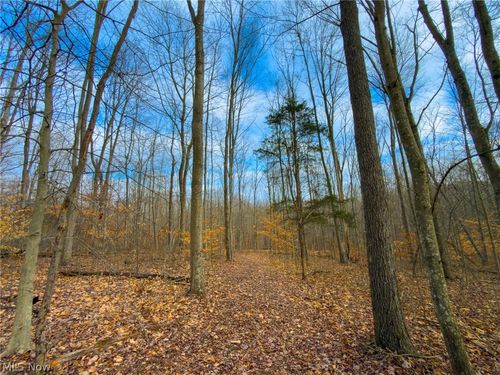 0 Long Fork Rd, Piketon, OH, 45661 | Card Image