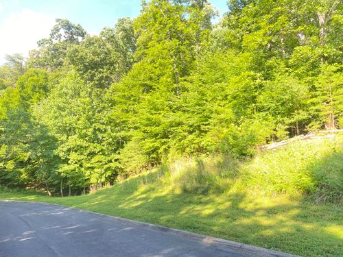 Lot 12 Cove Springs Dr, Dandridge, TN, 37725 | Card Image