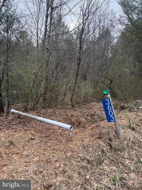 3603 Lakewood Drive, SAYLORSBURG, PA, 18353 | Card Image