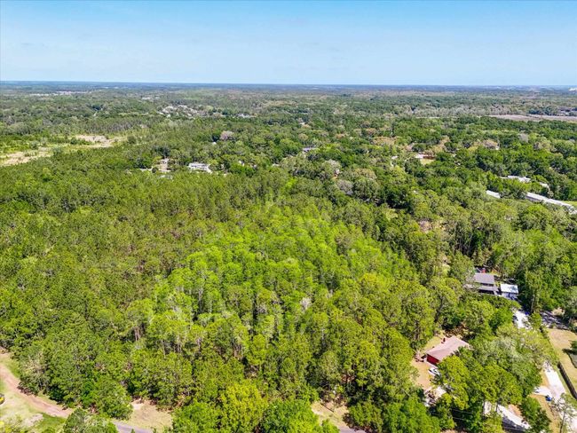 0 Carter Rd, Home with 0 bedrooms, 0 bathrooms and null parking in Saint Augustine FL | Image 17