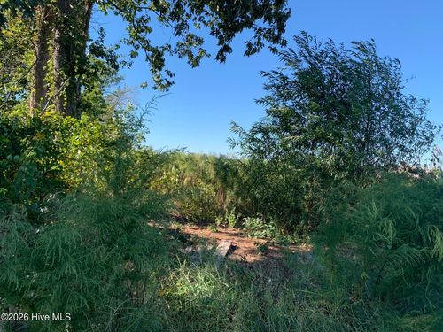 Tbd Hendrix Ln, Windsor, NC, 27983 | Card Image