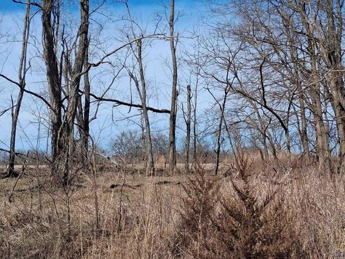 41 Lou Ann Dr, Lacygne, KS, 66040-4707 | Card Image