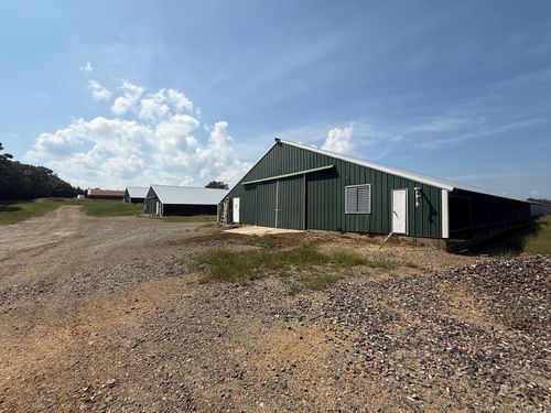 TBD Wayback Ln, Cove, AR, 71937 | Card Image