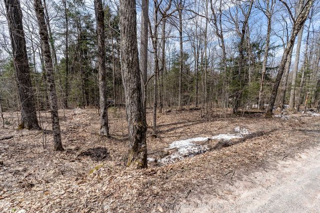 0 Bird Lake Rd, Home with 0 bedrooms, 0 bathrooms and null parking in Bracebridge ON | Image 29