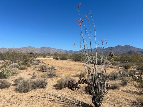 259 Apache Rd, Yucca, AZ, 86438 | Card Image