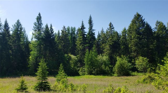 500 Blacktail Heights Rd, Home with 0 bedrooms, 0 bathrooms and null parking in Lakeside MT | Image 5