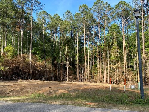 00 Sweet Birch Dr, Carriere, MS, 39426 | Card Image