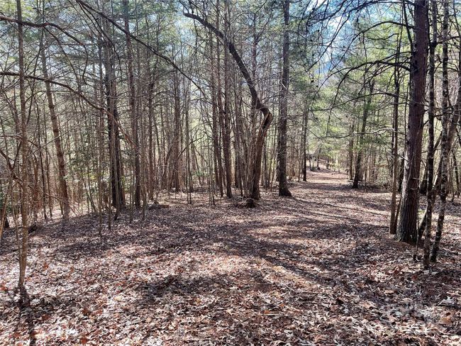 0000 Pine Log Rd, Home with 0 bedrooms, 0 bathrooms and null parking in Warne NC | Image 11