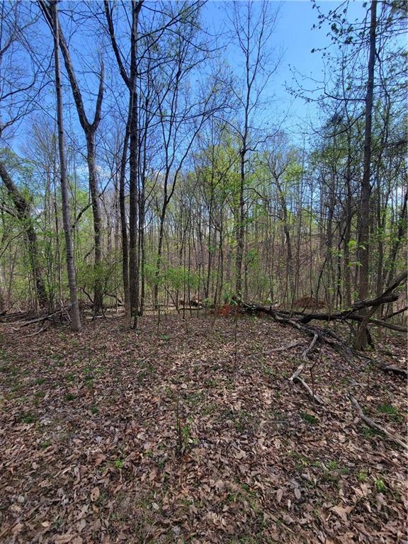 Land in Gainesville 3