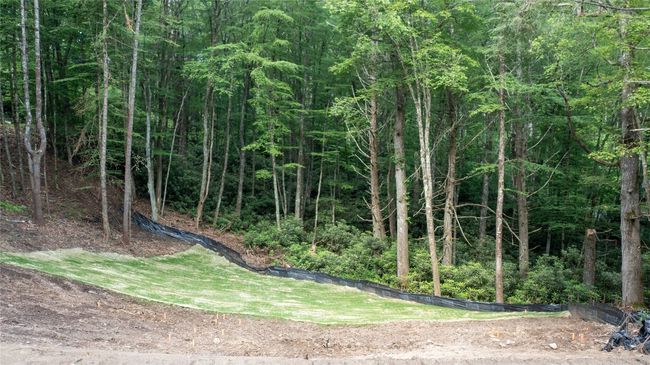 124 Hawks Ledge Ln, House other with 3 bedrooms, 4 bathrooms and null parking in Highlands NC | Image 16