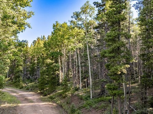 Lot 3231 Zipf Ln, Fort Garland, CO, 81133 | Card Image