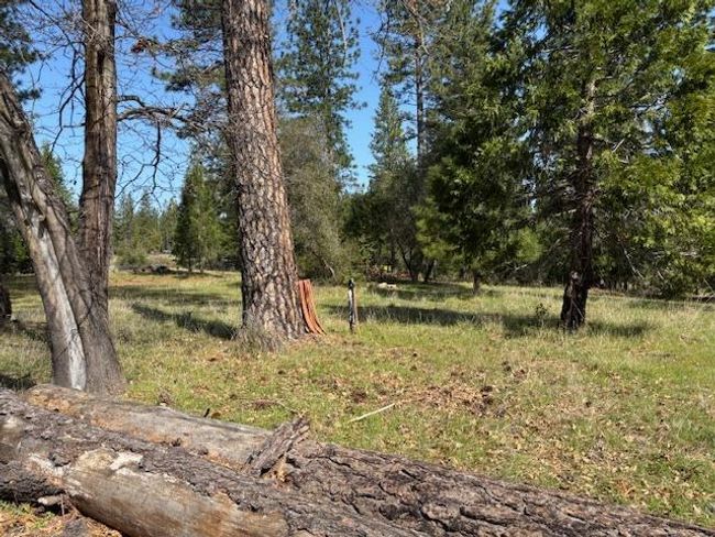 19292 Shawnee Trl, Home with 0 bedrooms, 0 bathrooms and null parking in Mokelumne Hill CA | Image 72