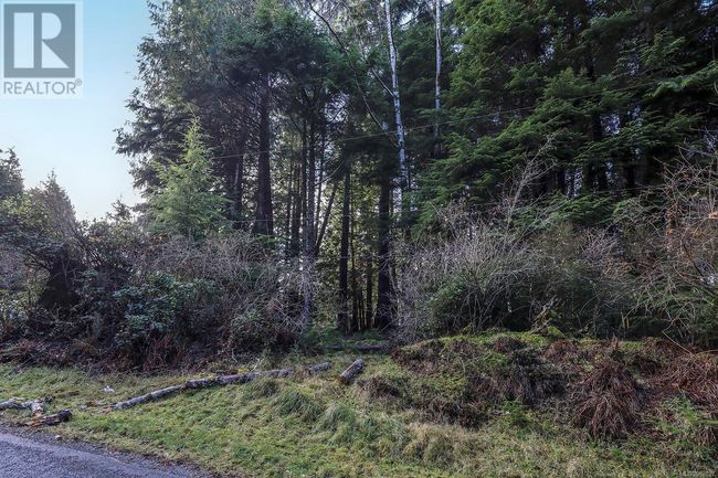665 1 St St, Home with 0 bedrooms, 0 bathrooms and null parking in Sointula BC | Image 29
