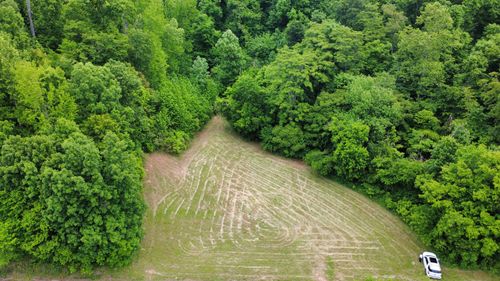 0 Love Branch Rd, Hampshire, TN, 38461 | Card Image