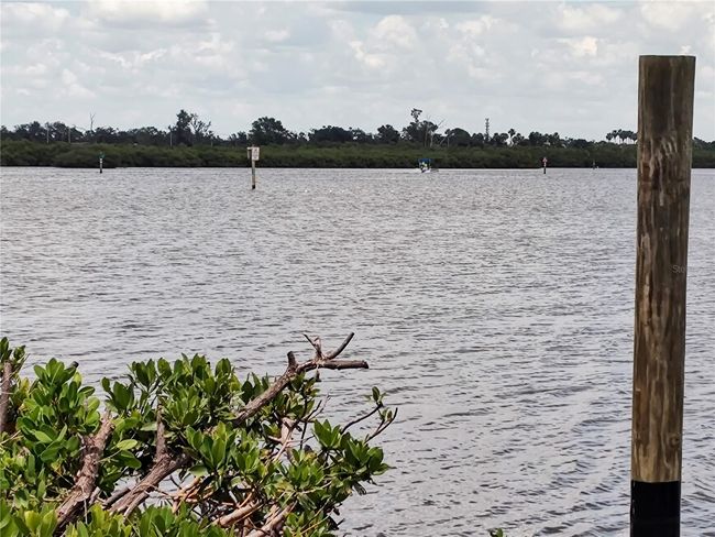 Braden River | Image 41