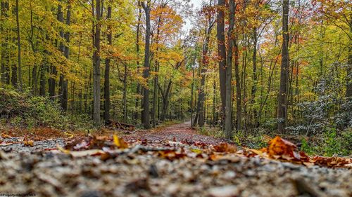 Lot 21 Snake Hill Rd, Morgantown, WV, 26508-5200 | Card Image