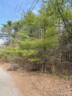 Land in Deerpark 2