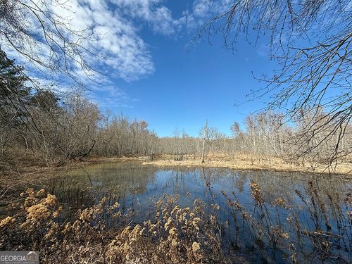 0 White Springs Road, Dry Branch, GA, 31020 | Card Image