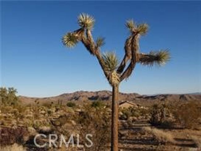 7275 Saddleback Rd, Home with 0 bedrooms, 0 bathrooms and null parking in Joshua Tree CA | Image 14