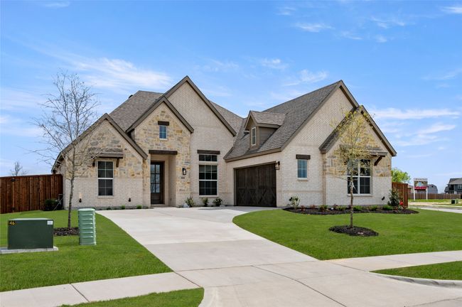 104 Calf- Front-2 | Image 28