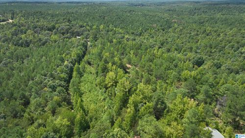 4-00 Douglas Dr, Beaverton, AL, 35544 | Card Image