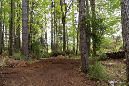 331 Rocky Brook Rd, Brinnon, WA, 98320-9541 | Card Image