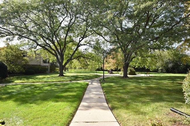234 - 425 W Willow Court, Condo with 2 bedrooms, 2 bathrooms and null parking in FOX POINT WI | Image 34