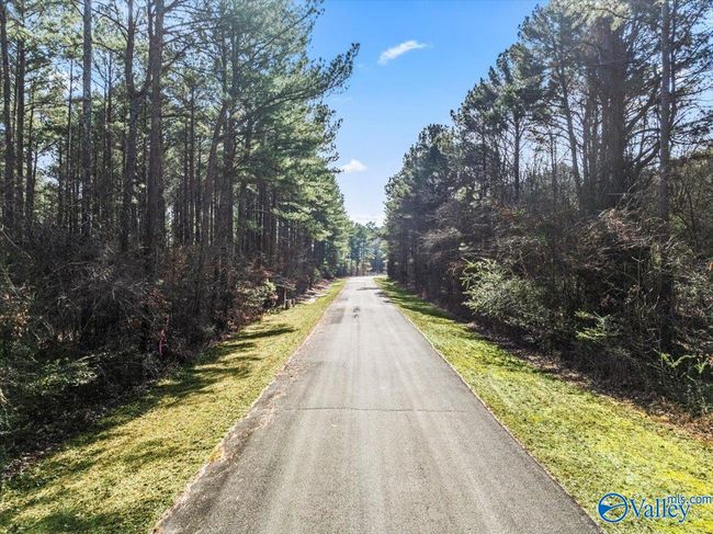 331 John Cabaniss Rd, Home with 0 bedrooms, 0 bathrooms and null parking in Langston AL | Image 10