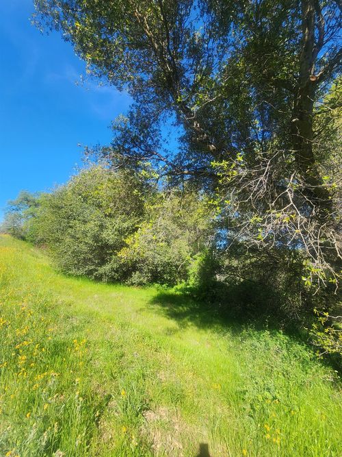 0 Wells Rd, Coarsegold, CA, 93614 | Card Image