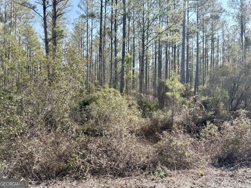 18 Satilla Plantation, Waynesville, GA, 31566 | Card Image