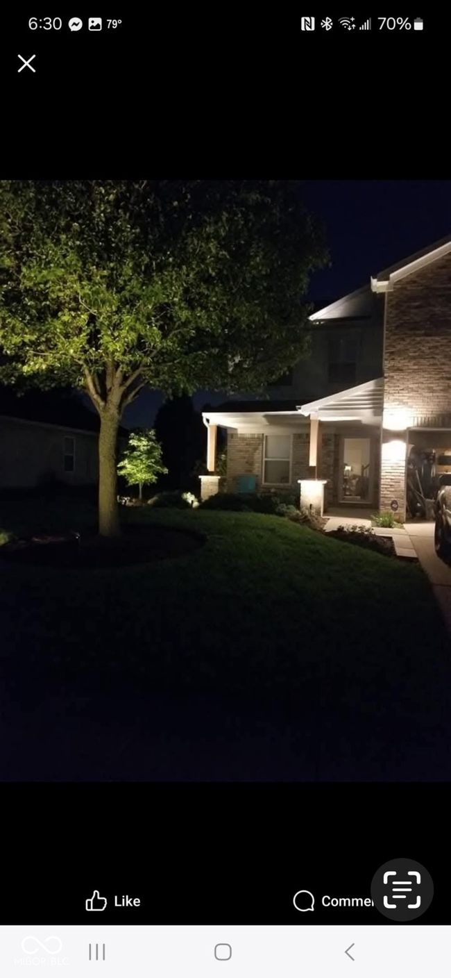 view of yard at night | Image 39