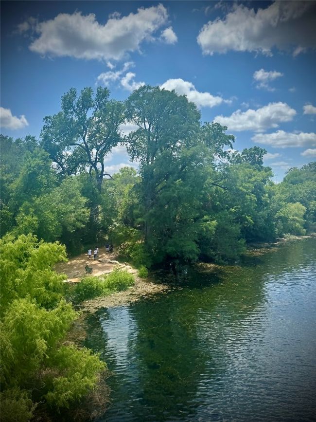 Take a stroll around the hike and bike trail at Lady Bird Lake! | Image 18