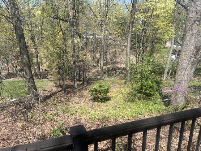 View of backyard from fenced in area. | Image 38