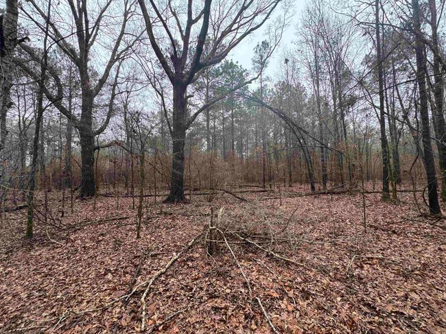 000 Ashley Road 912, Home with 0 bedrooms, 0 bathrooms and null parking in Hamburg AR | Image 19