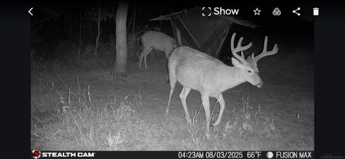 2782 N 25 Rd, Mesick, MI, 49668-9526 | Card Image