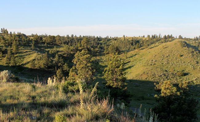 SC-28 - TBD Lone Rock Canyon Lane, Home with 0 bedrooms, 0 bathrooms and null parking in Hysham MT | Image 23